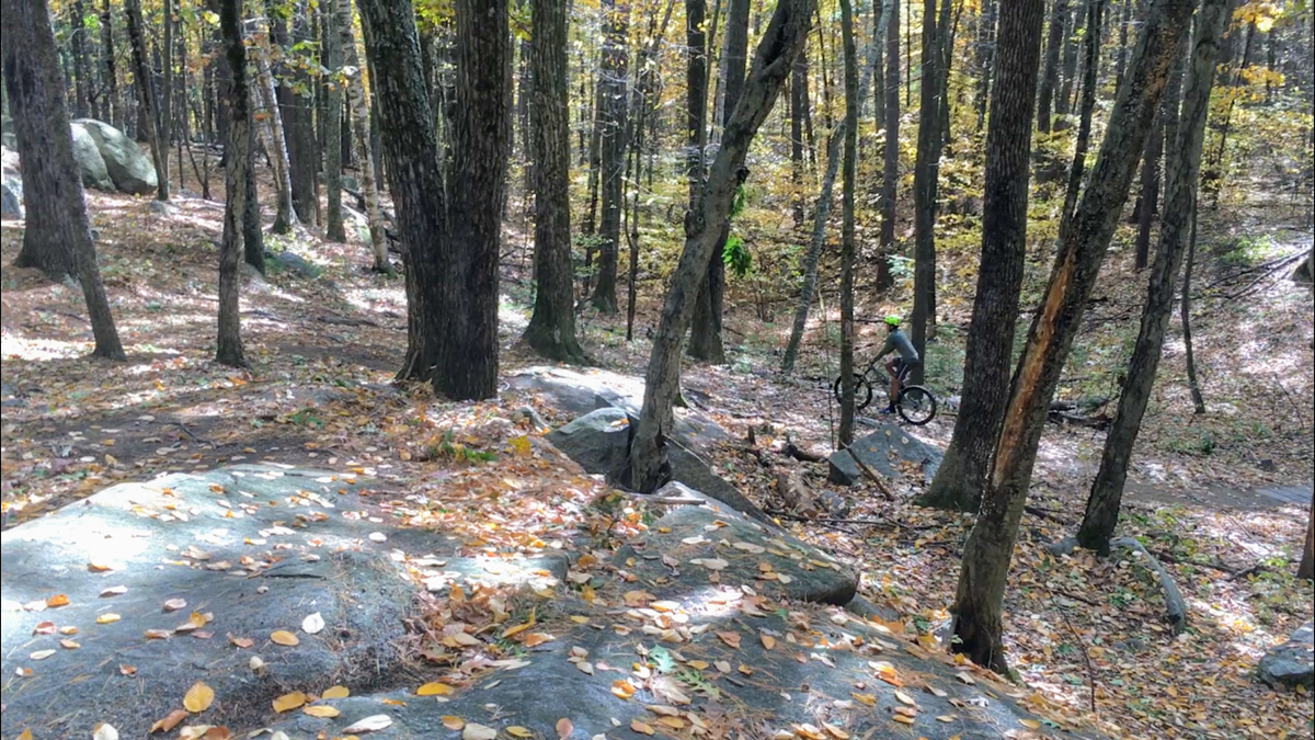 Mountain biking at Lowell Dracut Tyngsboro State Forest - Rider looking small among big stones