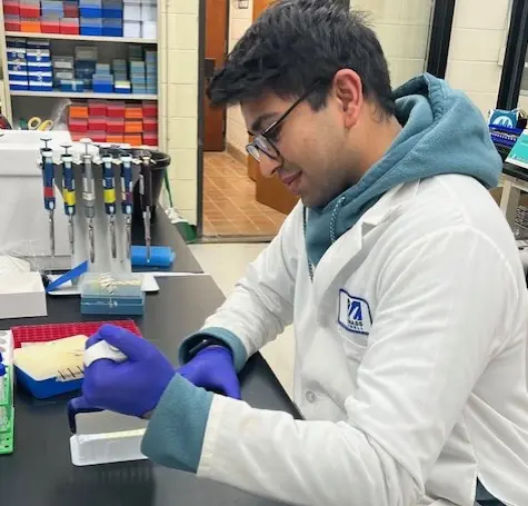Jai Patel applied biomedical science major working in a lab