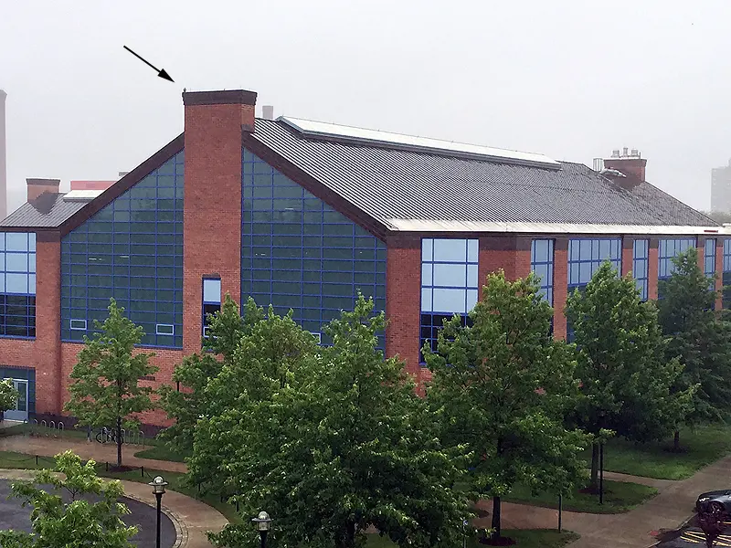 Unable to reach the nest box, Jane (with arrow) spent Saturday and Sunday on top of the Recreation Center.