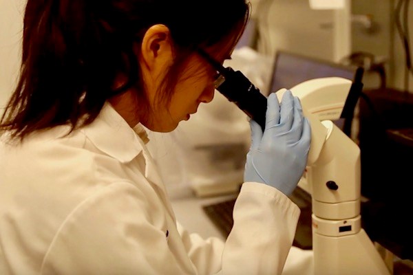 Versatope's Julie Liao looks in a microscope
