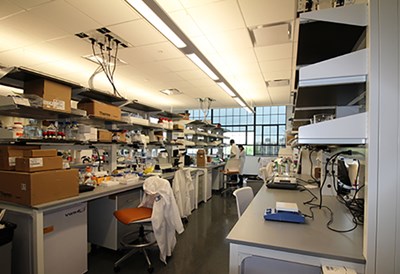 M2D2 lab