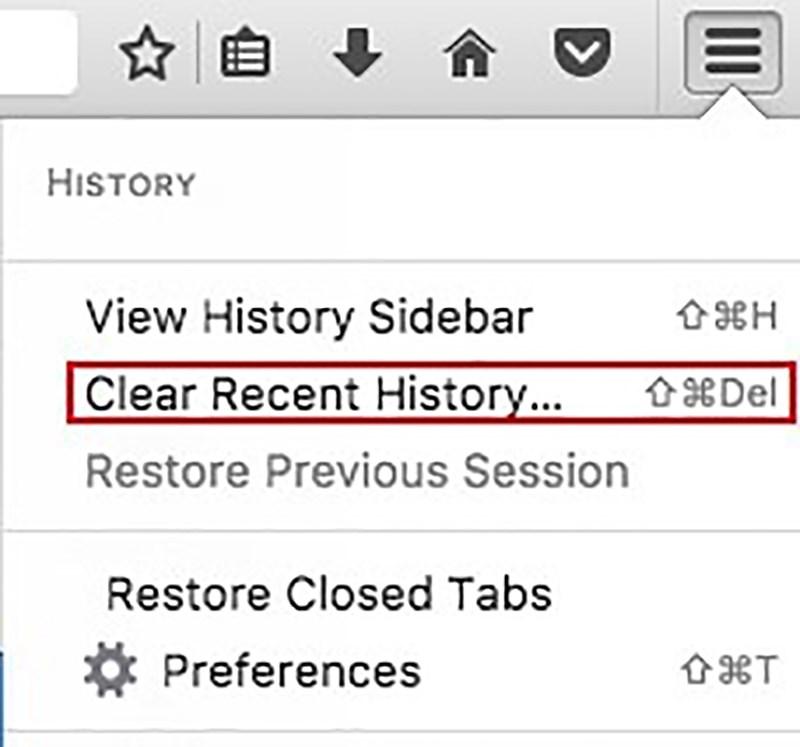 The History tab will then open, select the Clear Recent History option  