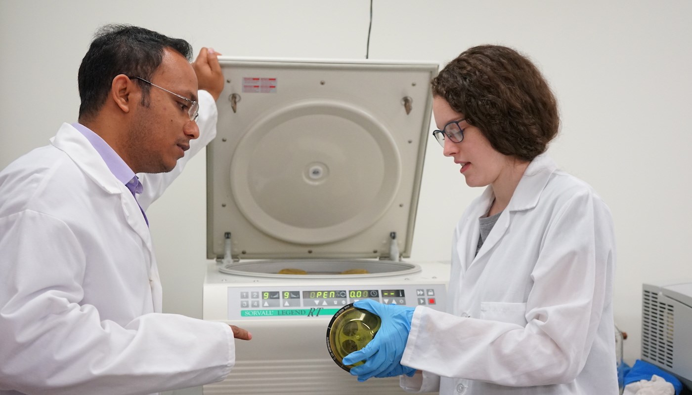 Biomedical engineering major Madison Merrill learns cell-culture techniques in her summer co-op with chemical engineering research scientist Prokash Paul