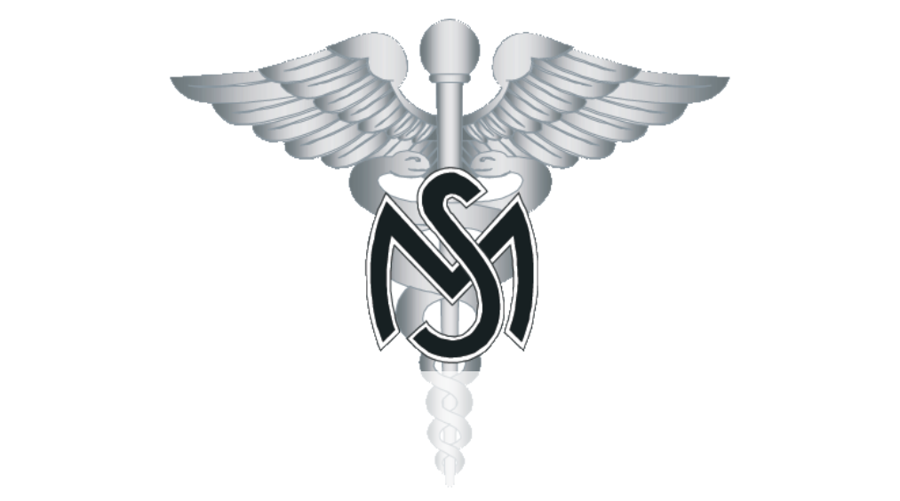 Medical Services Insignia