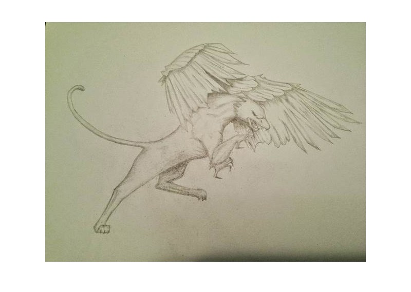 A sketch of a Griffin by Mukhammaddin Zinaddinov.