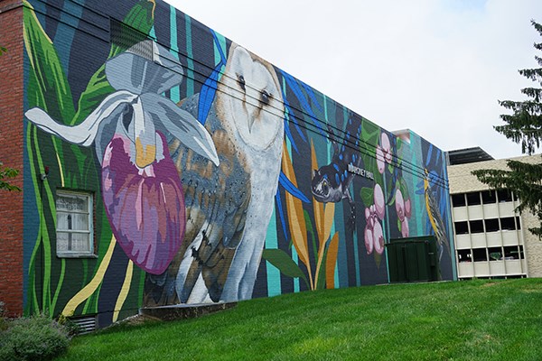 Sophy Tuttle's mural on UMass Lowell's South Campus depicts six endangered plants and animals 