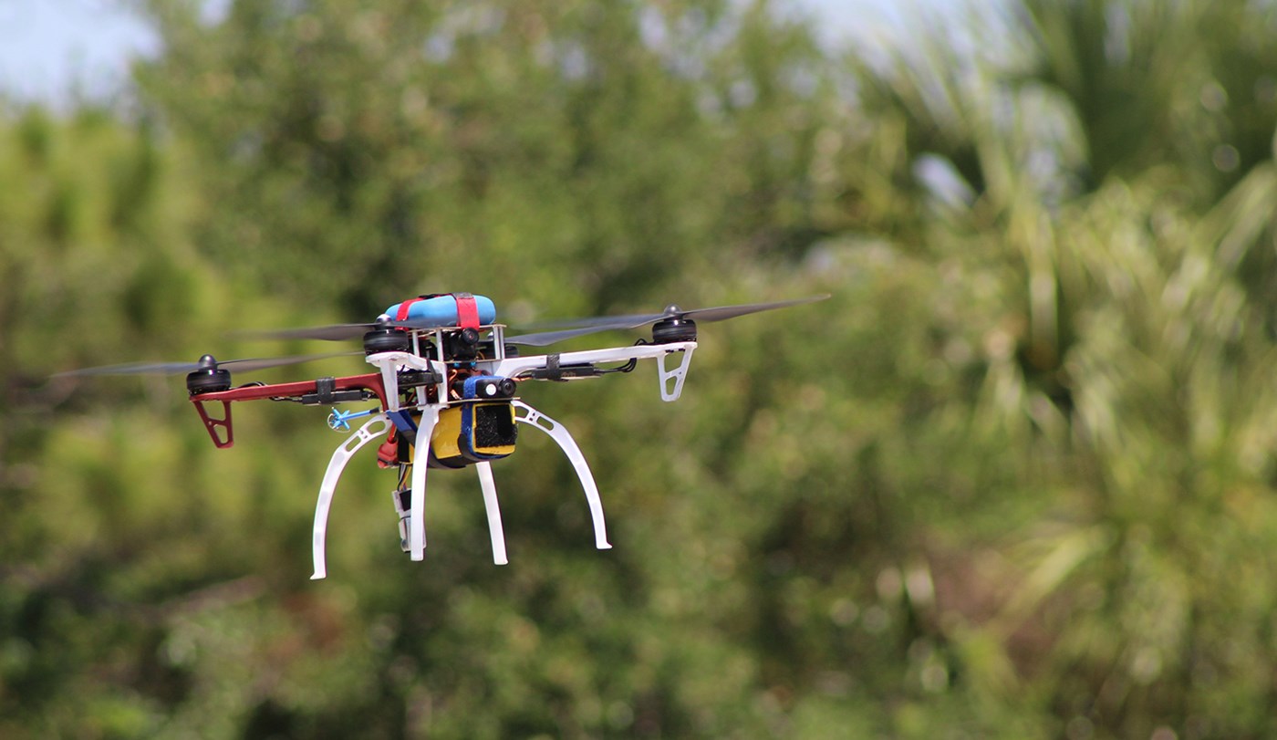 Unmanned aerial vehicle (UAV) navigating through trees