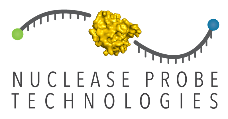 Nuclease Probe Technologies Logo that says: Nuclease Probe Technologies in black letters with a black line above it that has a green circle on the left end, blue circle on the right end, and a yellow irregular object in the center.
