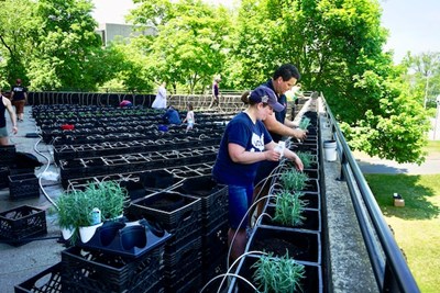 Two students help containers at the rooftop garden