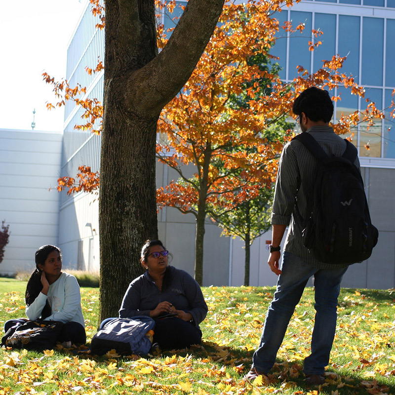 Students sitting on lawn on UMass Lowell North Campus