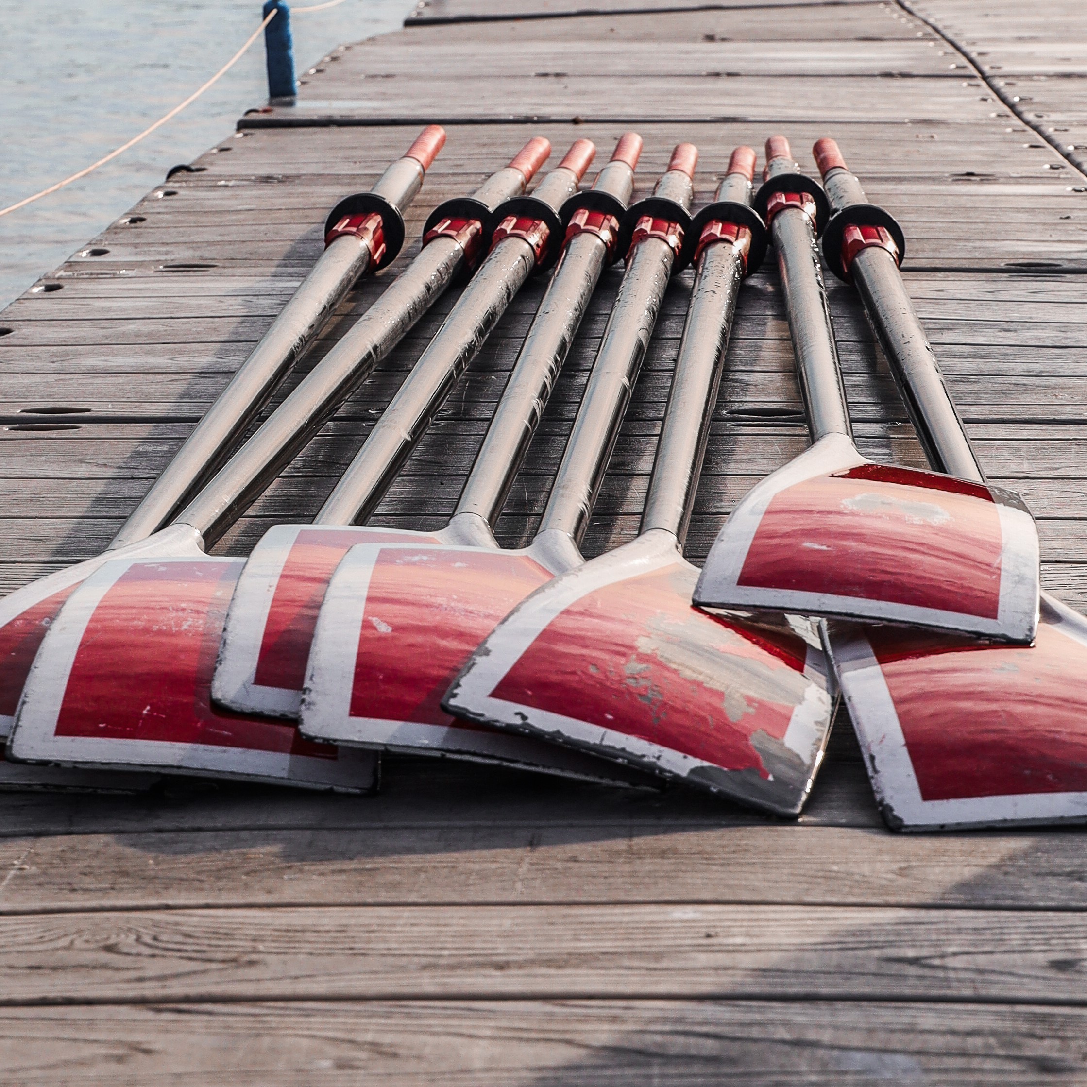 Several oars on the dock.