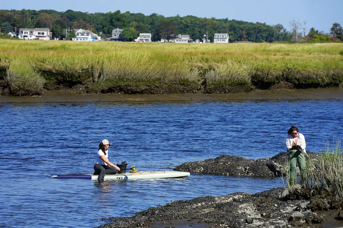 A woman sits on a paddleboard in a creek while another woman walks on the shoreline.