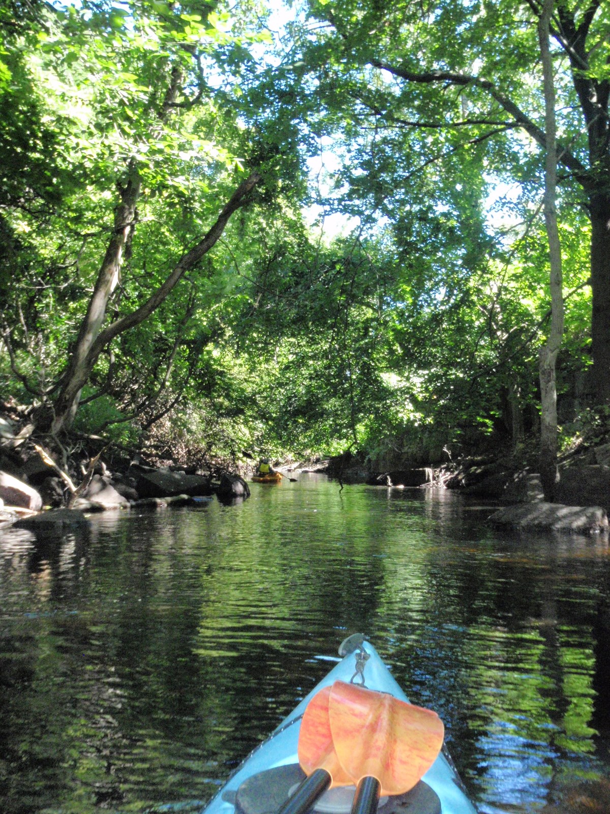 The front of kayak as it drufts down a creek with trees surrounding both sides.