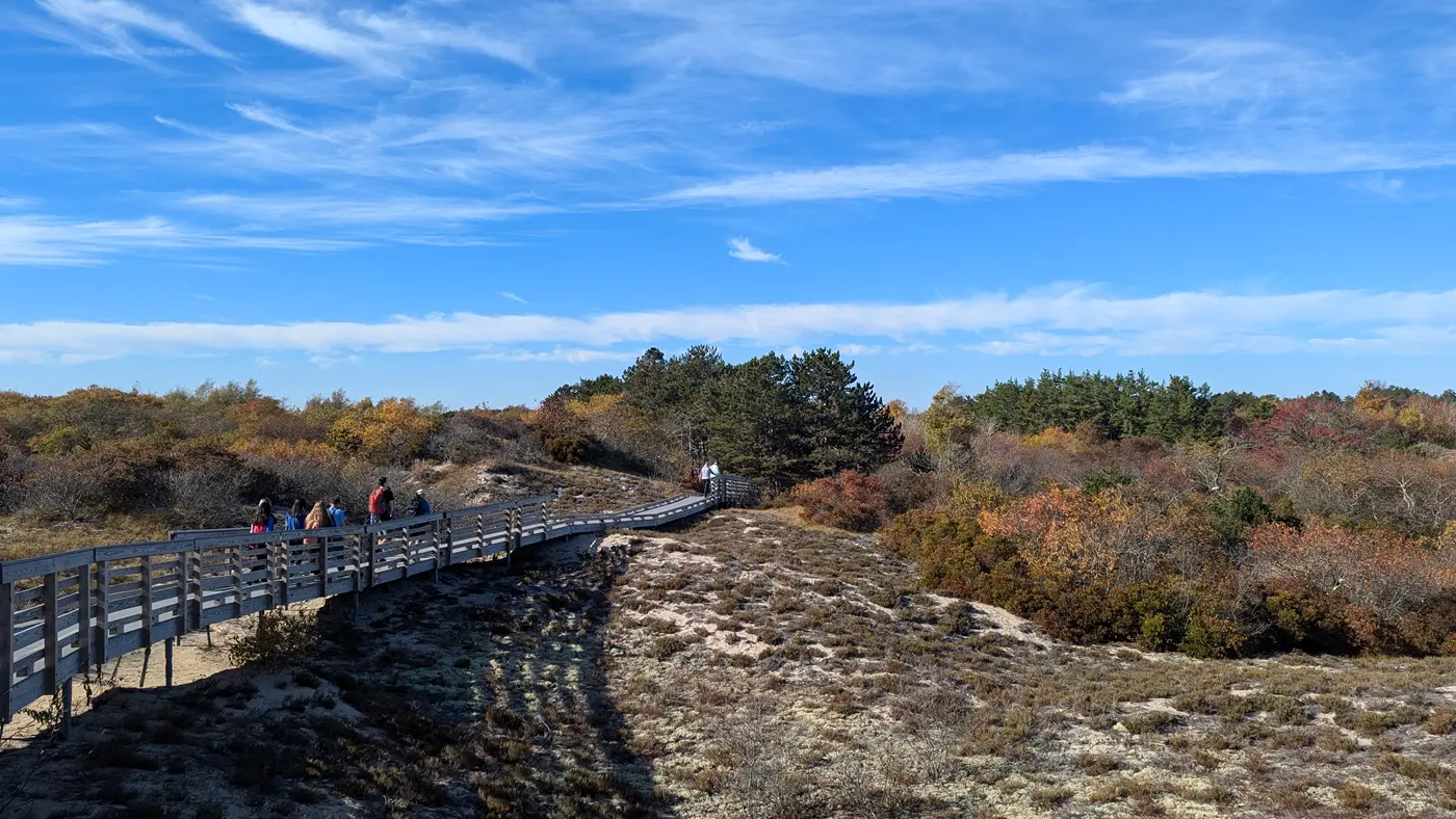 A group of people walk on a boardwalk over a wetland with fall colors and a blue sky streaked with high white clouds.