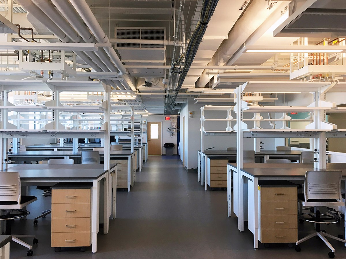 Perry Hall laboratory recently renovated