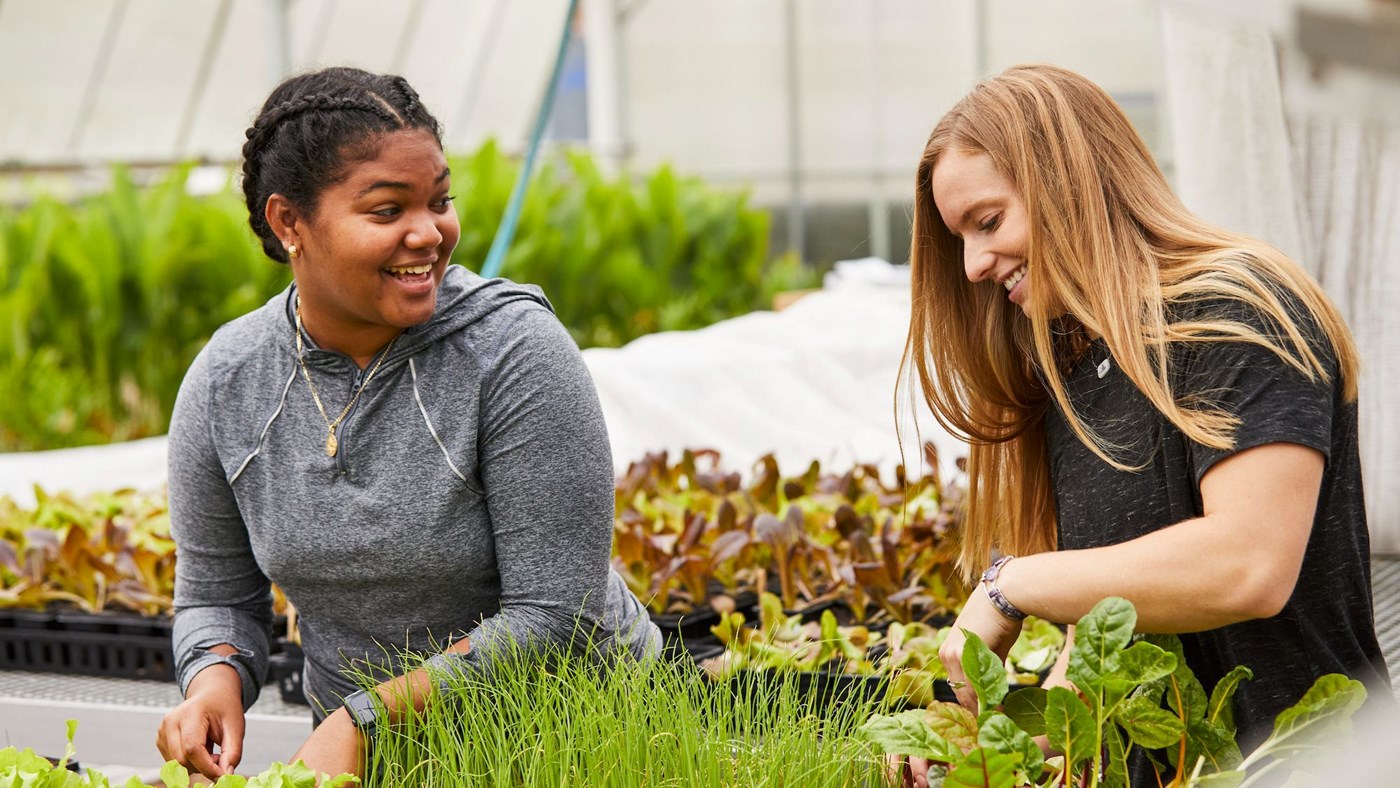 Two public health students work in a garden at UMass Lowell.