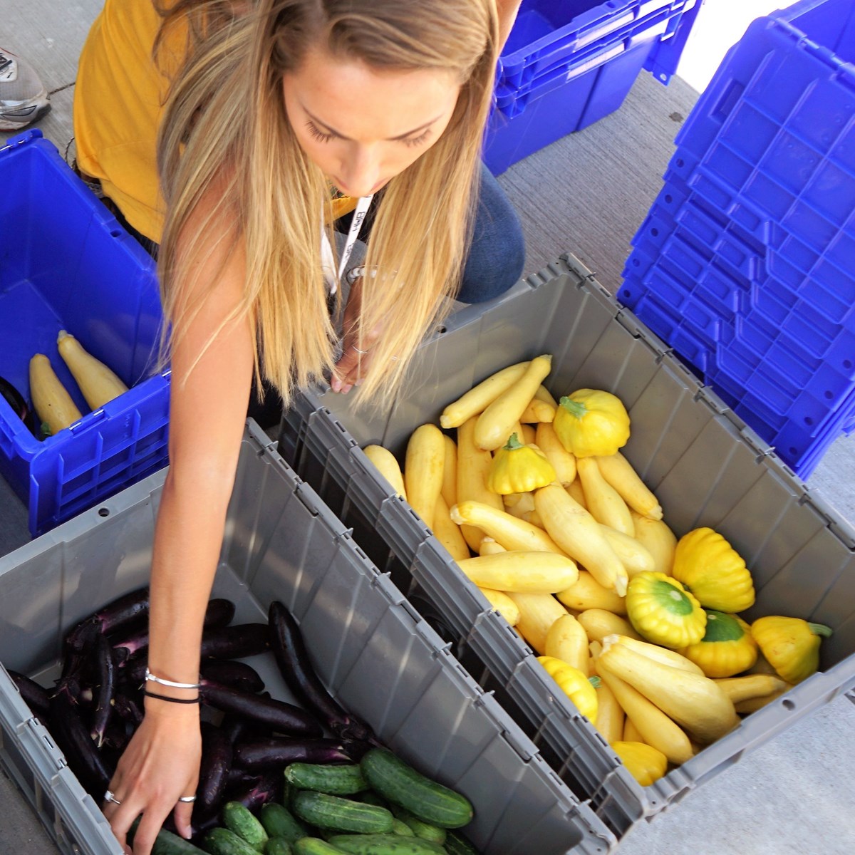 A person reaches across bins of vegetable to pick up a cucumber.