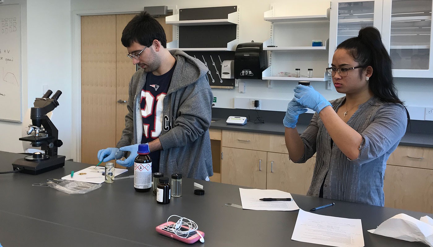 Male and female student perform experiment in lab