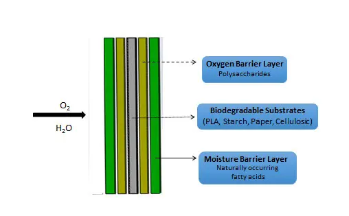 Schematic-opt.jpg