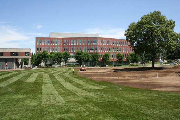 Fresh sod is rolled out on South Campus Mall