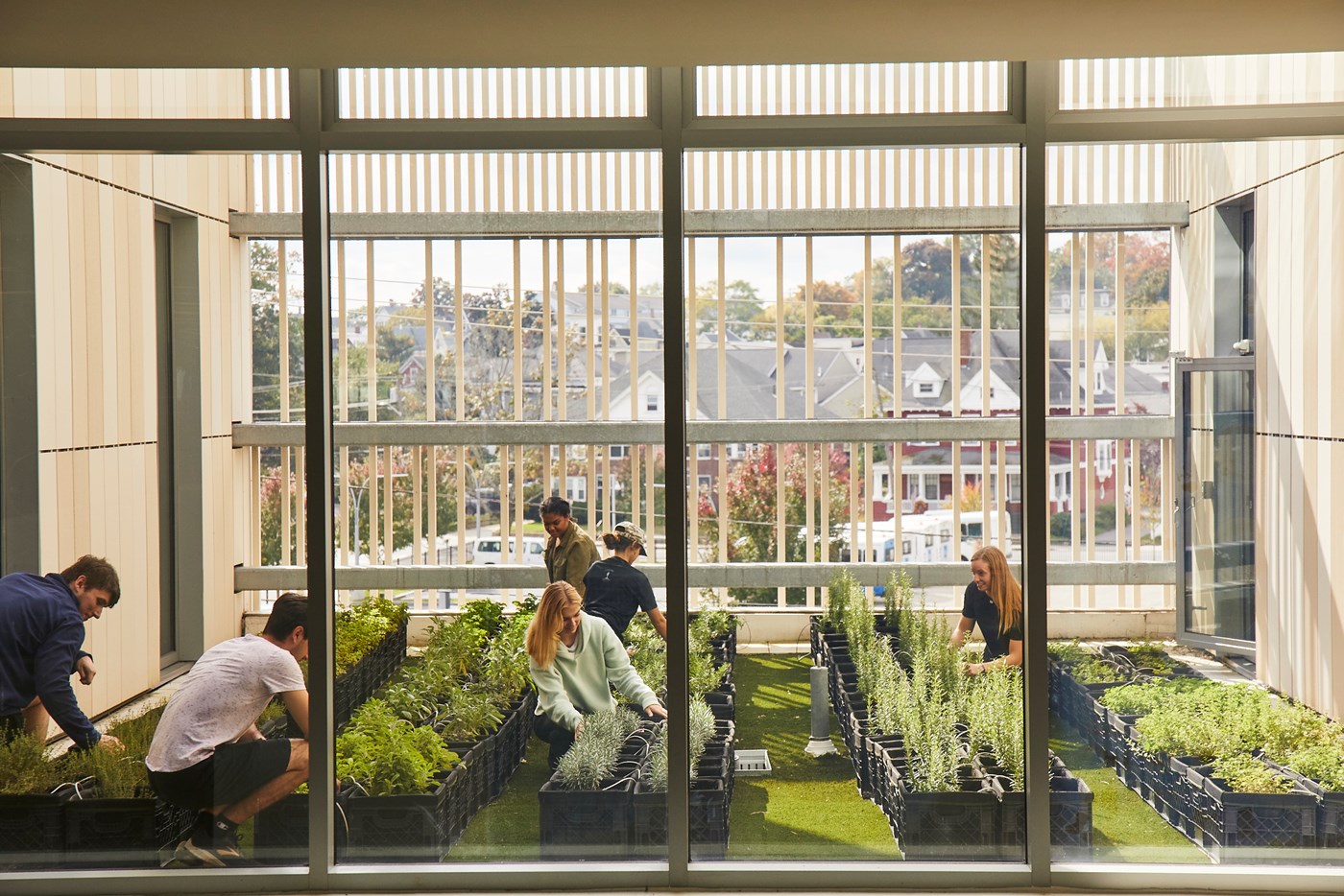 Image from outside the rooftop garden windows, showing students harvesting and maintaining the garden.