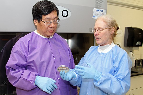 Profs. Yuyu Sun and Nancy Goodyear working in the lab