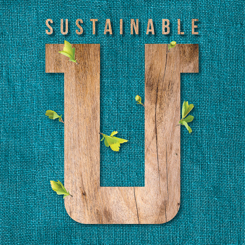 Sustainable over a large wooden U with leaves growing from it