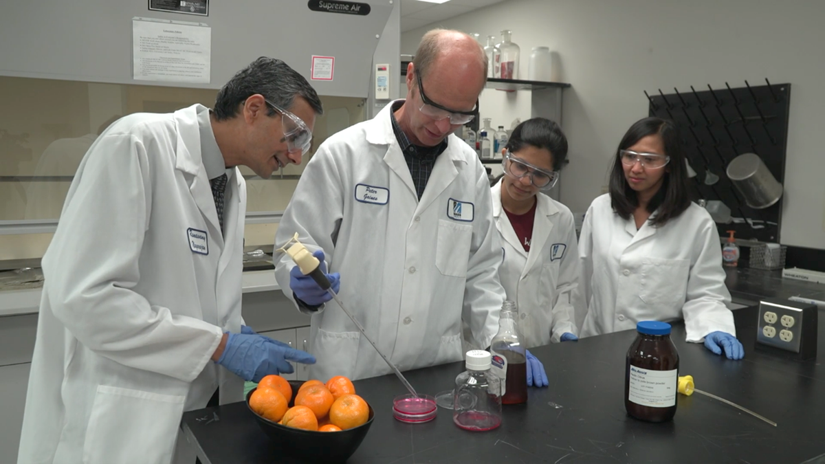 Faculty and graduate students in lab coats conducting lab experiments.