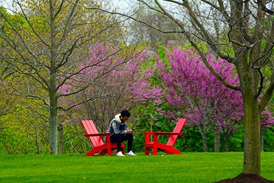 A student looks at their phone while sitting in a red chair outside surrounded by trees