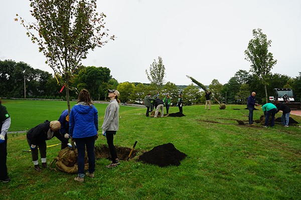 Volunteers plant trees on South Campus