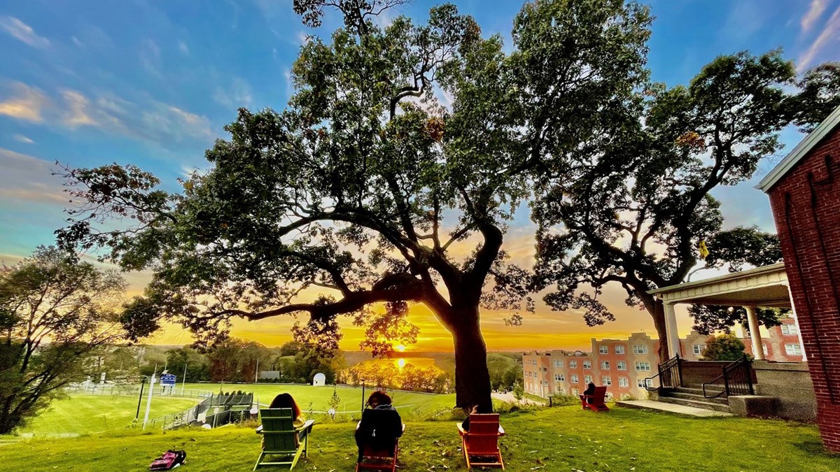 Students sitting in chairs looking at the sunset & a large tree next to Allen House and Sheehy Hall.