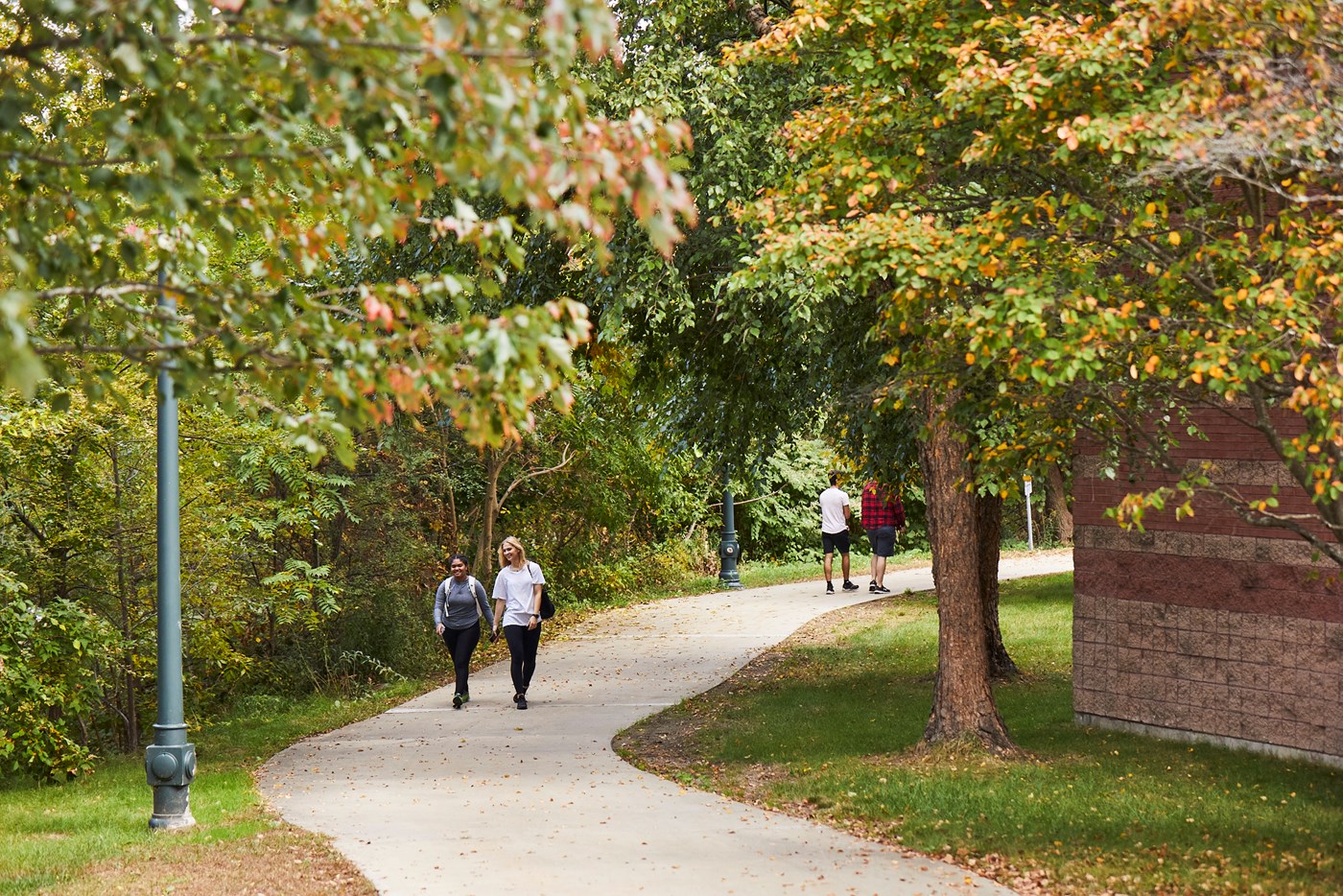 Students walking through tree lined walkway