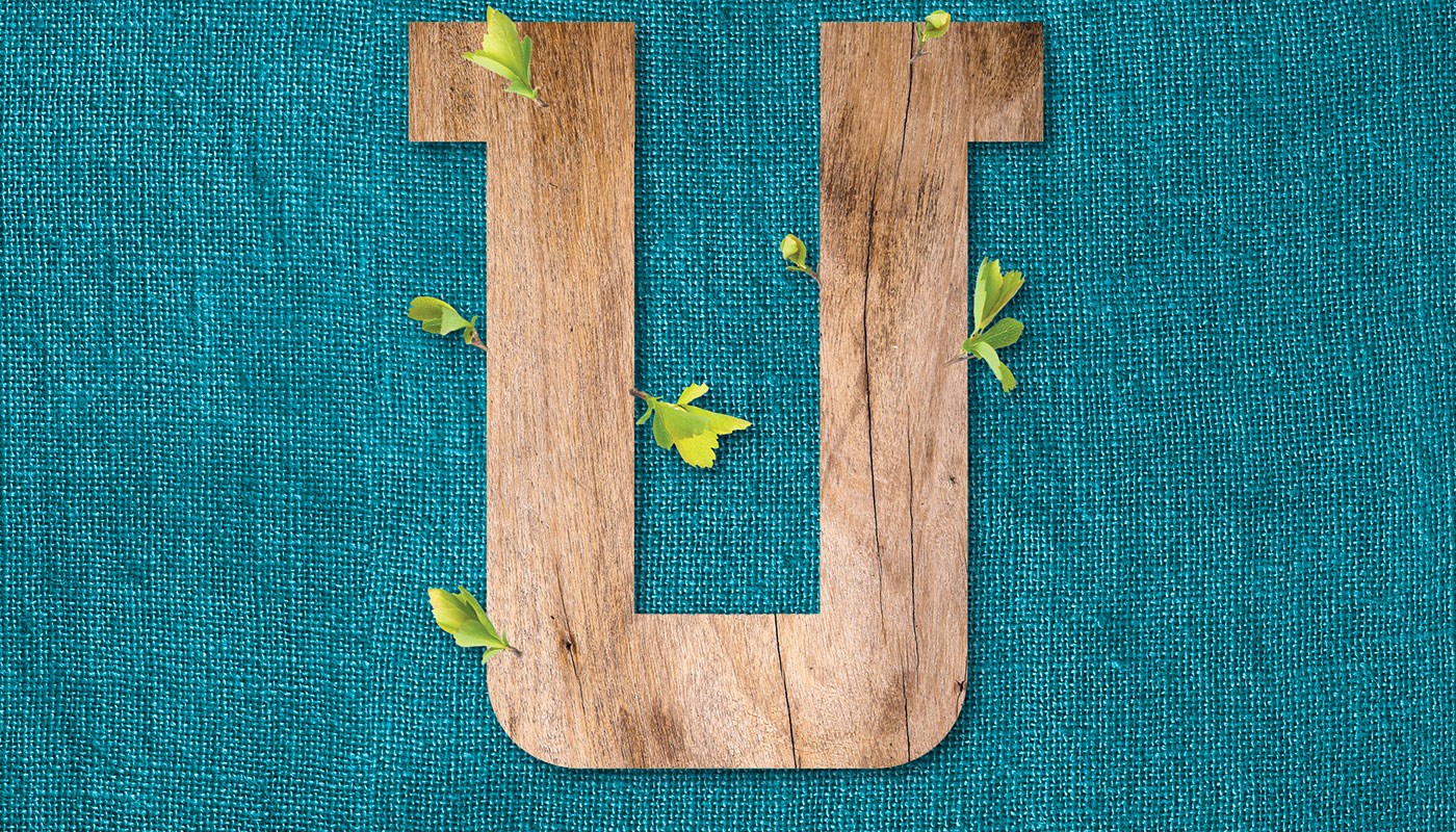 Sustainable over a giant U on a blue-green background with leaves growing out of wooden U