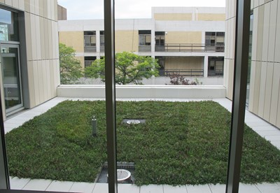 University-Crossing-rooftop-garden