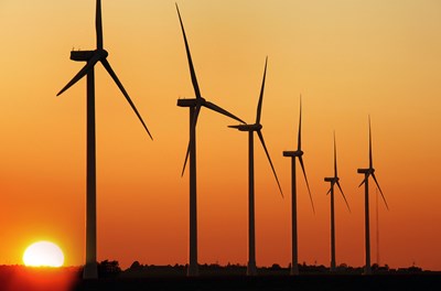 Wind-farm at sunset
