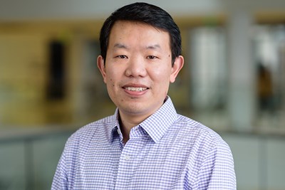 Prof. Yan Luo