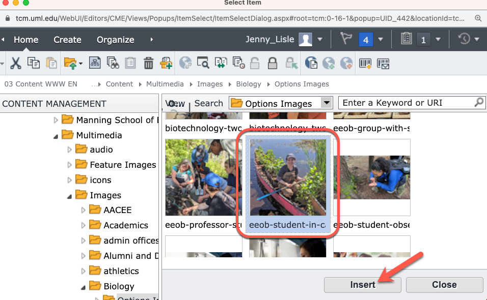 add-image-3 add-image-3