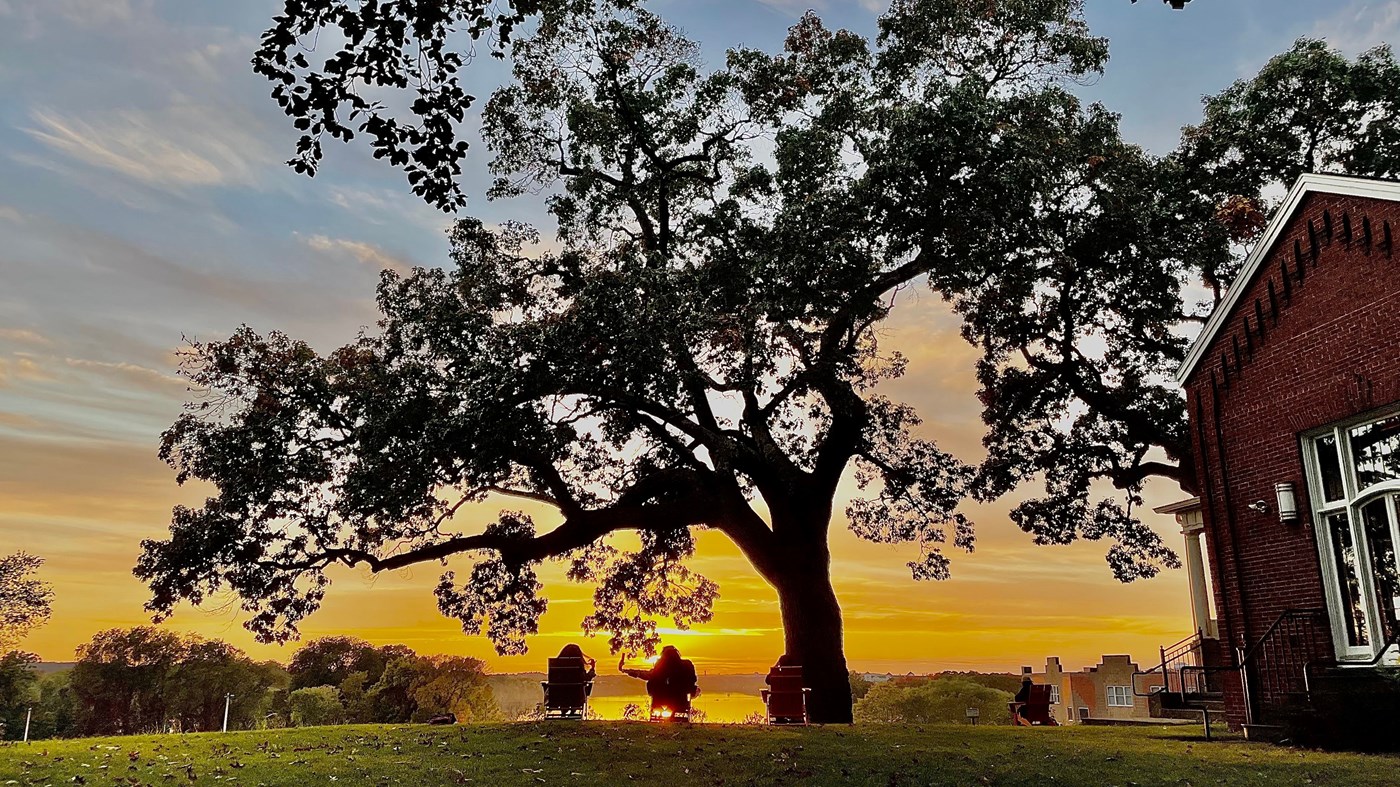 Students silhouetted in sunset under tree
