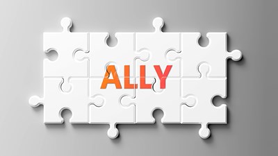 White interlocked puzzle pieces with word ALLY on it.