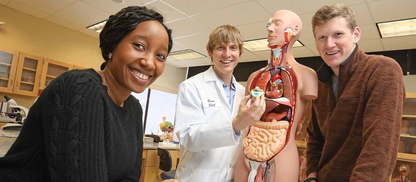 Students and professor look at an anatomy dummy