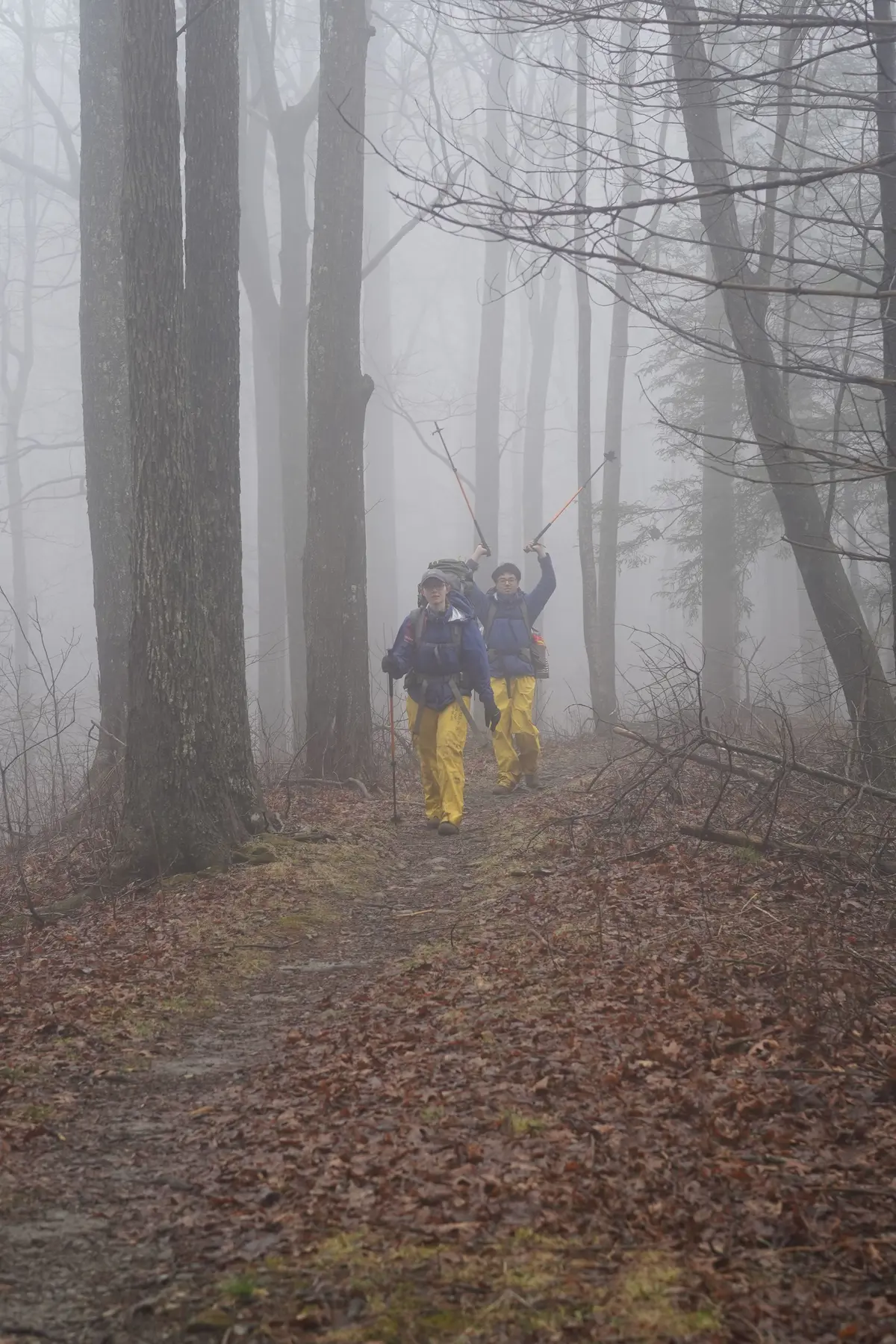 Two people in yellow pants walk on a trail on a misty day; the back person raises his hiking poles in celebration. 