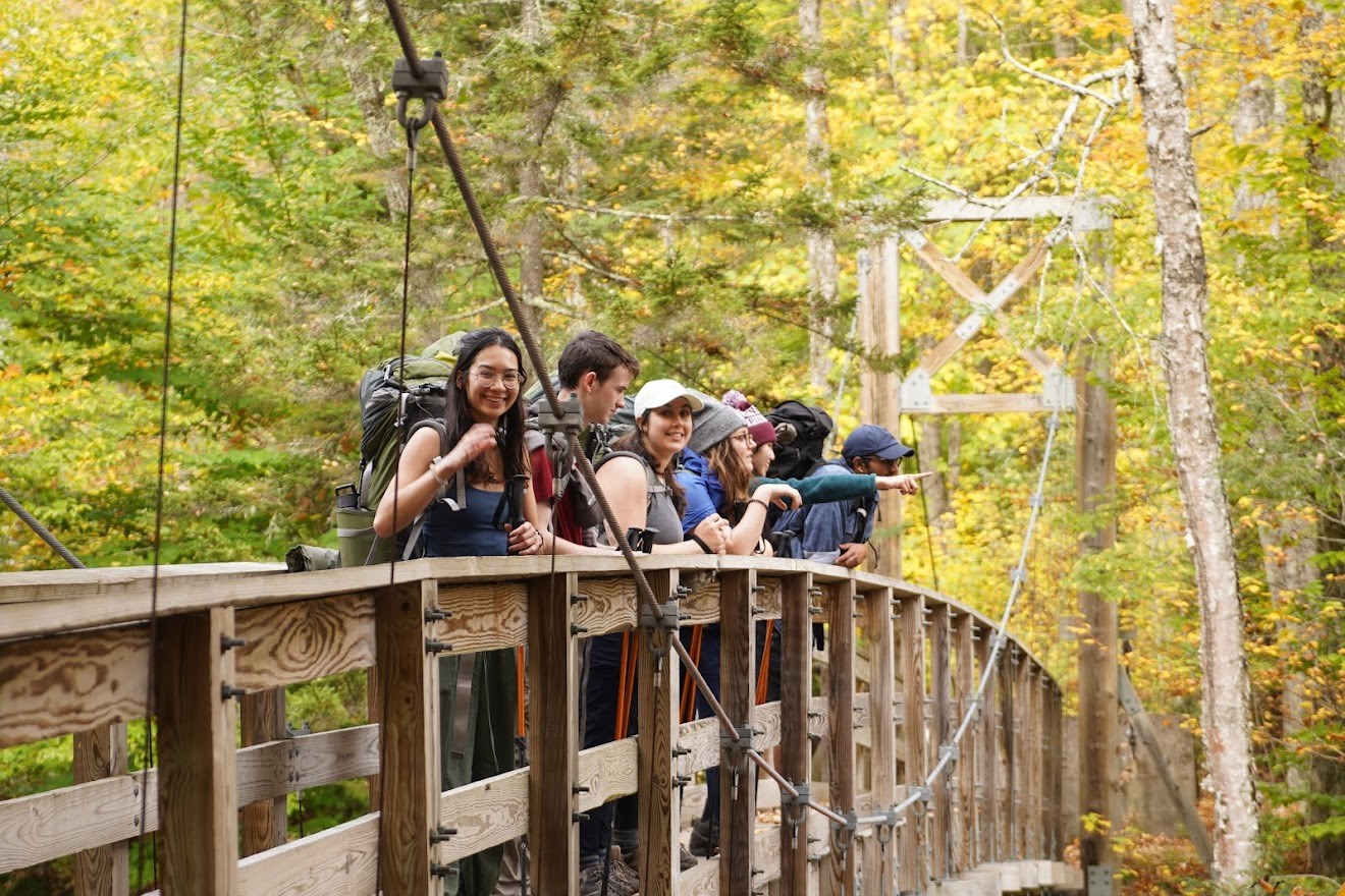 Group of backpackers stands on a bridge in the forest