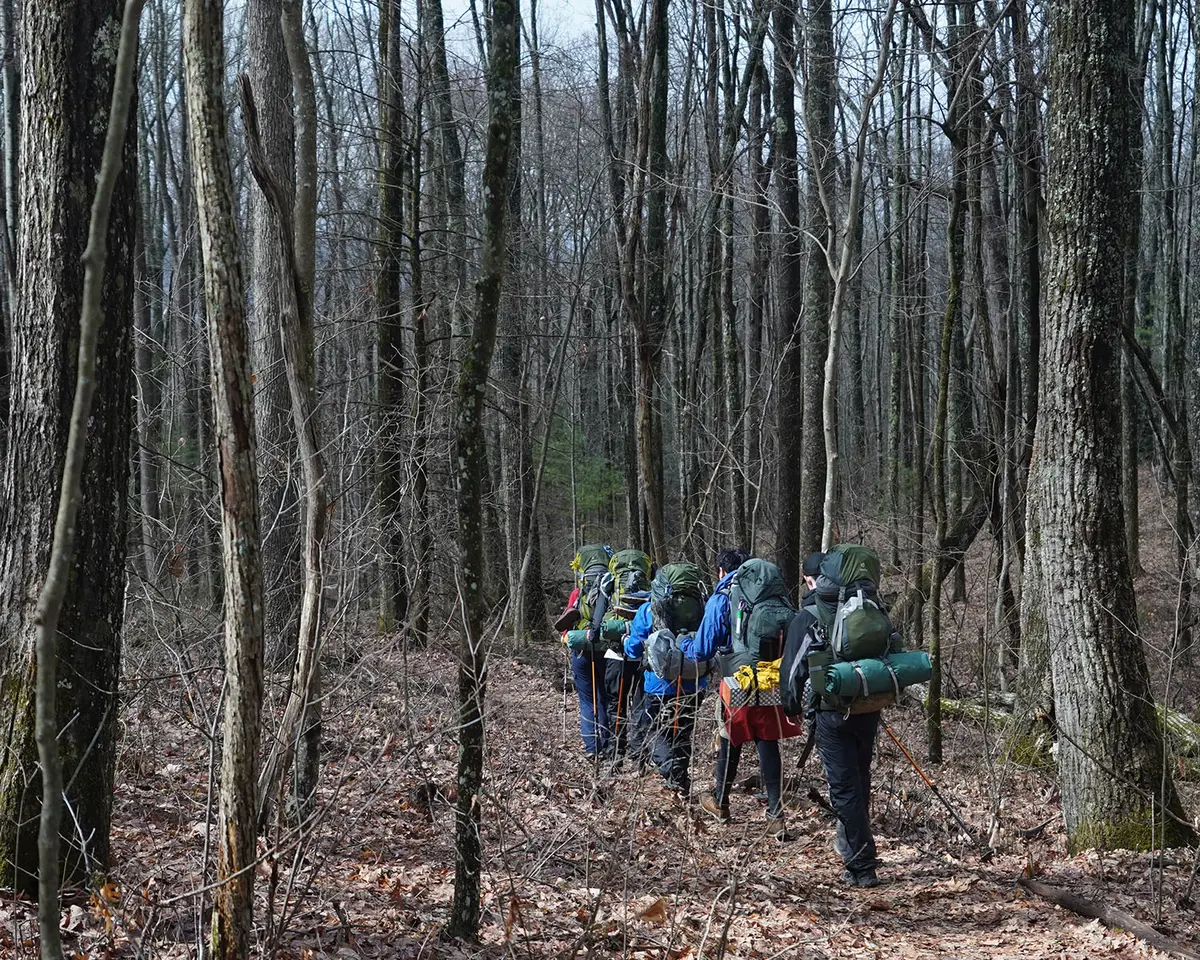 Five people wearing backpacks walk through a forest on a path of brown leaves. 