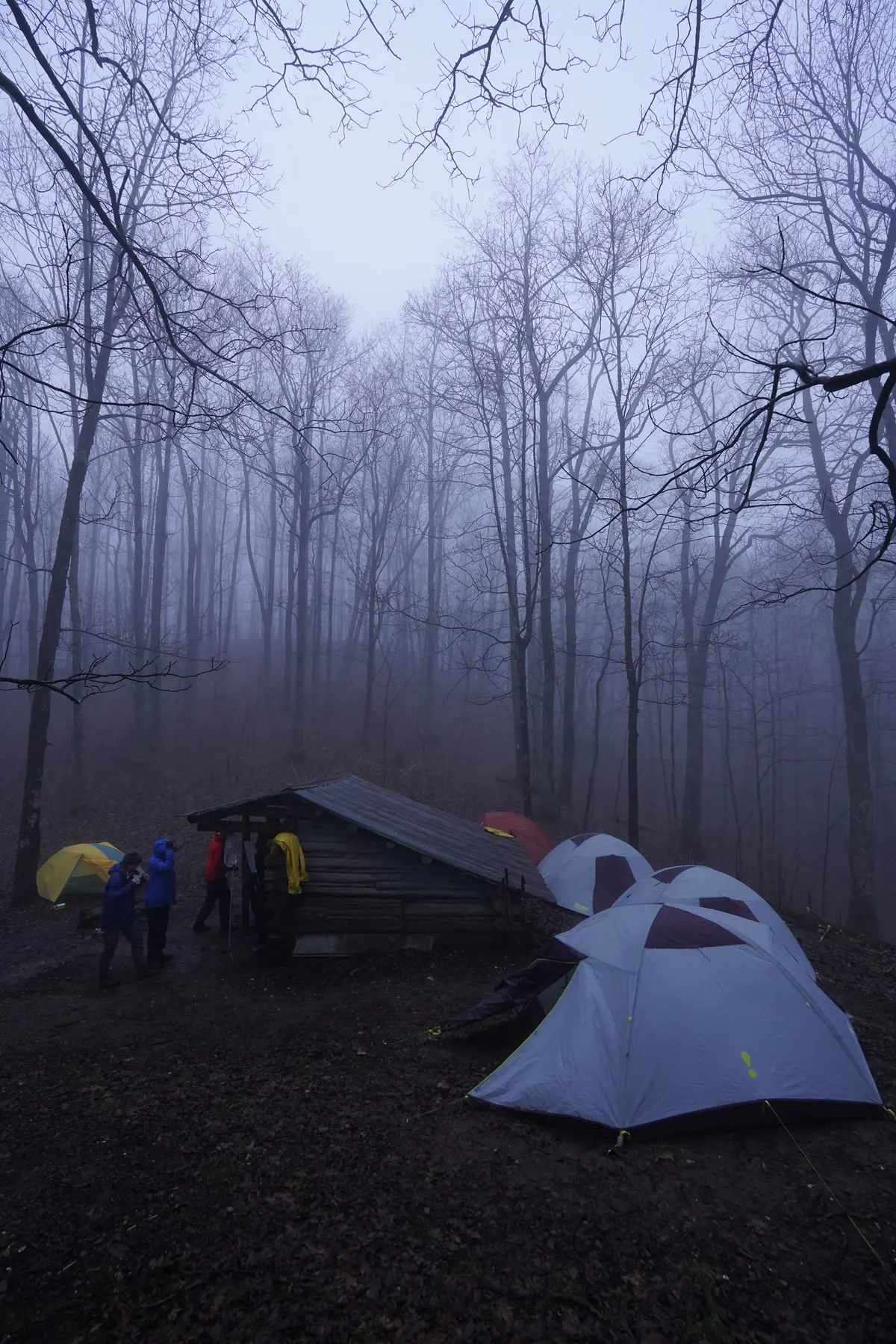 Tents are set up near a shelter on the Appalachian Trail on a misty evening.