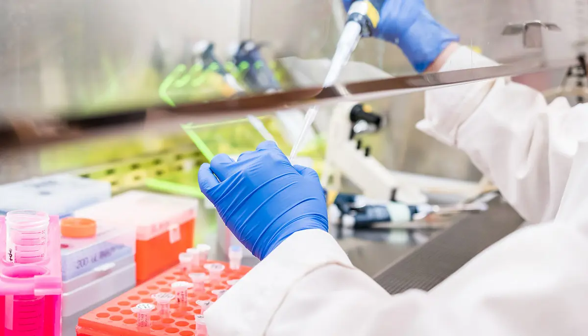Gloved hands fill tubes with a syringe