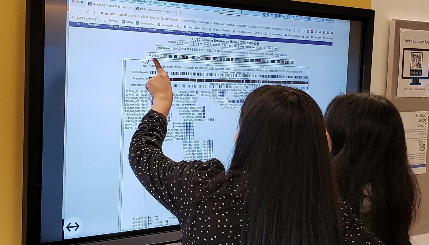 Two students look at data projected onto a whiteboard in a bioinformatics classroom at UMass Lowell