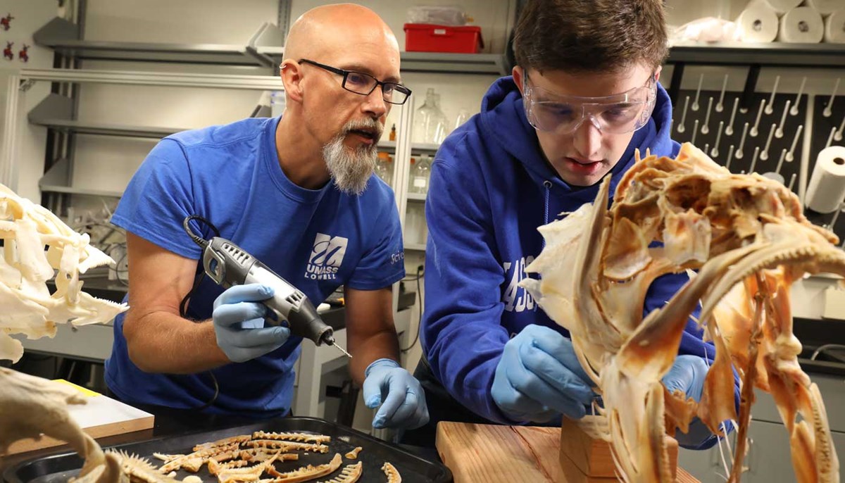 Professor and student assemble bones in a UMass Lowell biology lab