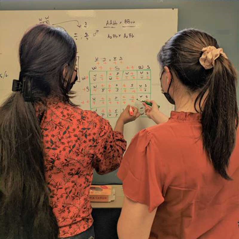 Two students write on a whiteboard