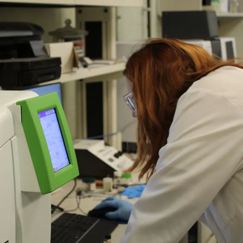 A student looks at a data screen in a UMass Lowell chemistry lab.
