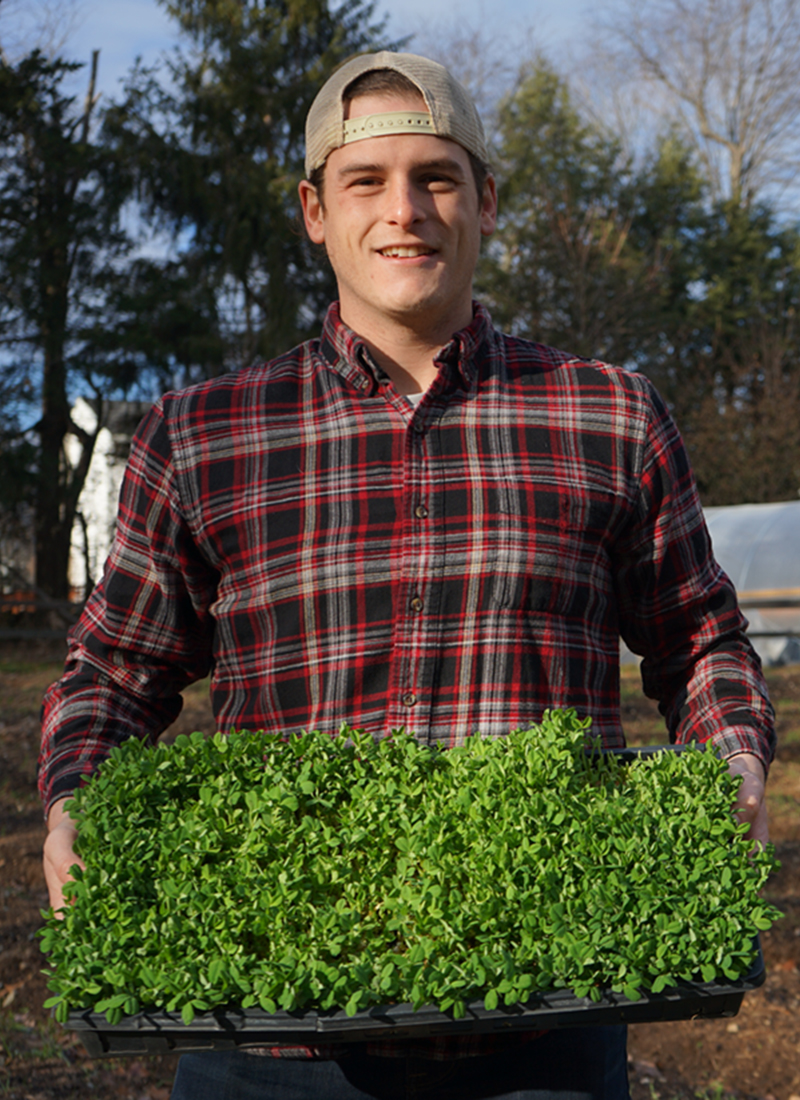 Christopher Horne holds a tray of green sprouts standing in front of the greenhouse at Horne Family Farms
